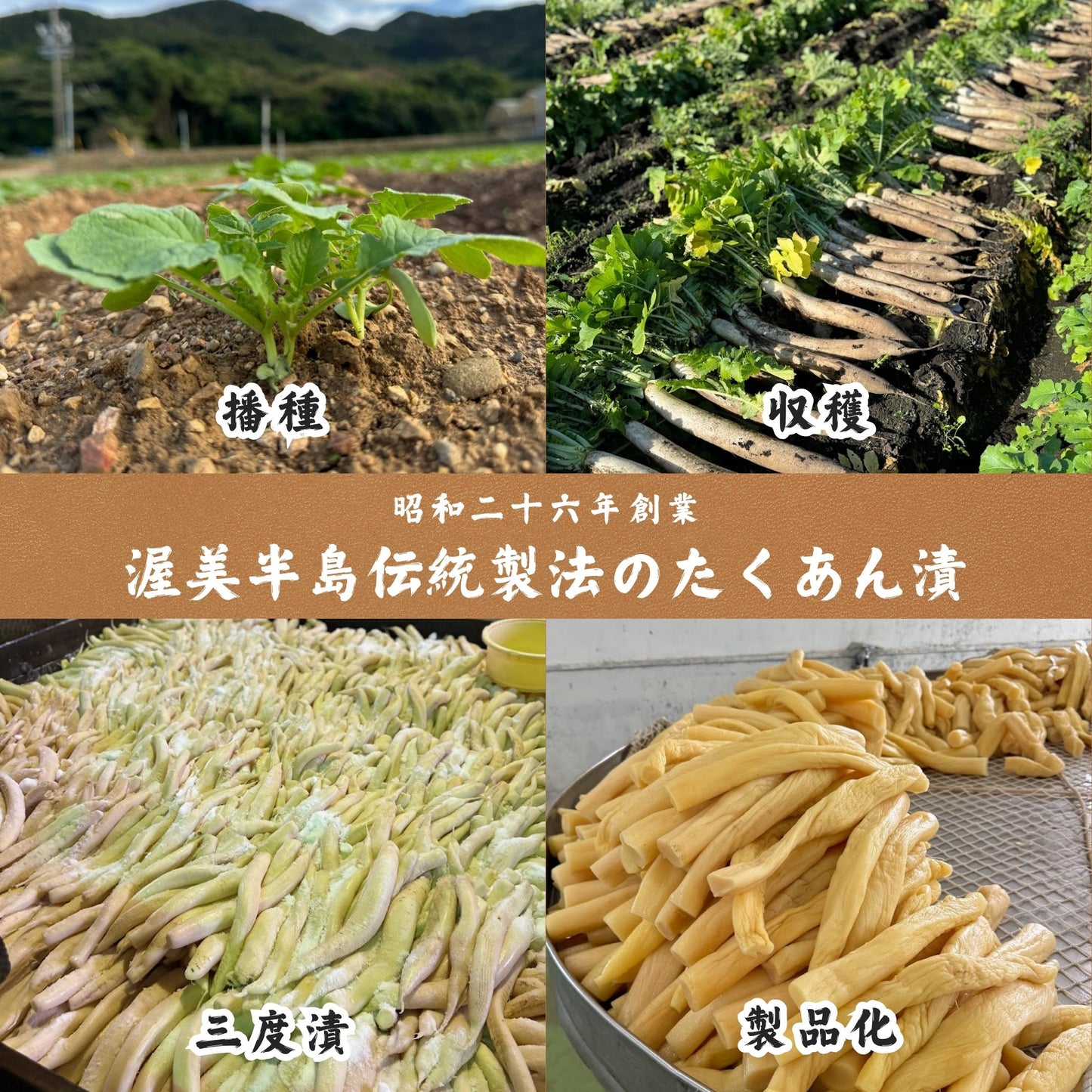 【業務用】自然色たくあん(20袋入り)